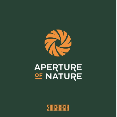 10 Best Creative Camera Logo Ideas of All Time