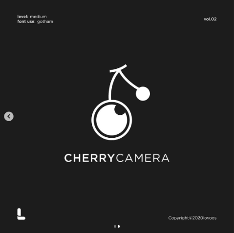 10 Best Creative Camera Logo Ideas of All Time